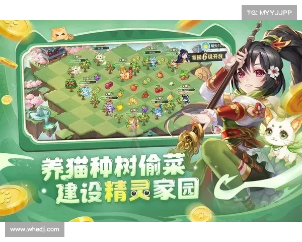欢乐三国杀:快速升级精灵的秘籍 欢乐三国杀:快速升级精灵的秘籍
