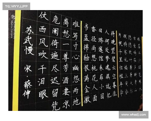 踏破寒荒:终结极夜,剑指黎明 踏破寒荒:终结极夜,剑指黎明
